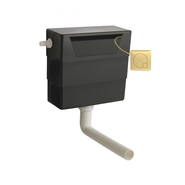 Crawford Front and Top Access Concealed Toilet Dual Flush Cistern with Brushed Brass Flush Plate